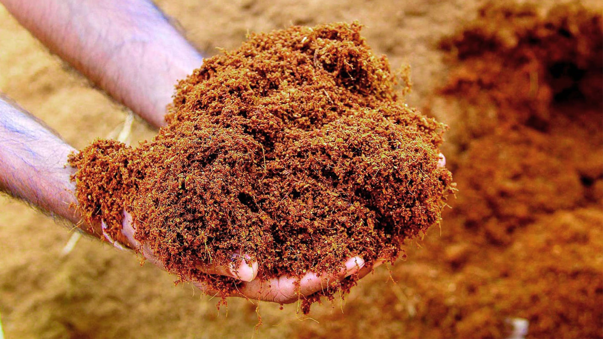 Cocopeat Nursery Techniques