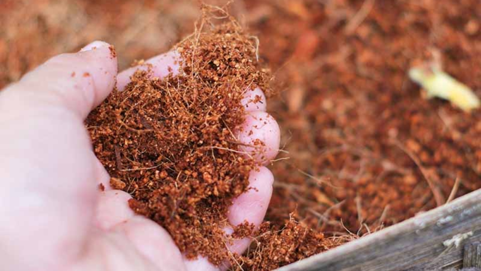 Cocopeat Nursery Optimization